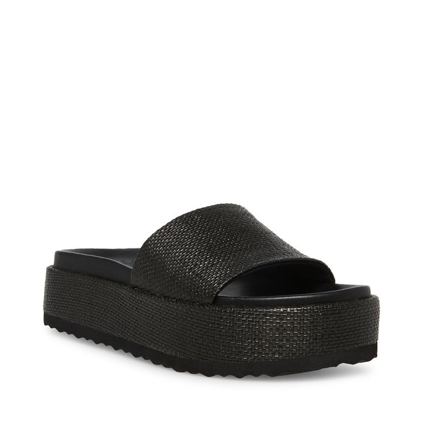 Black Steve Madden Kasper Women's Slides | PH 1708MFH